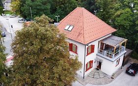 Triglav Apartment House